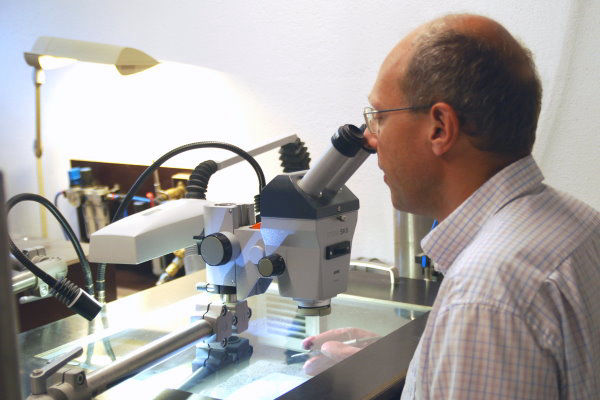 Bundenbach_Fossil_Preparation Bundenbach_Fossil_Preparation