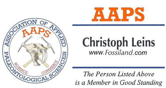 Bundenbach_Fossil_AAPS